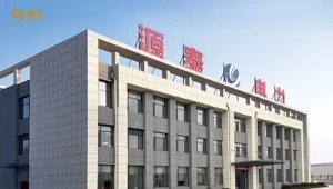 Trend Power and Yuantai Industrial Launch EV Charging Platform in Tajikistan