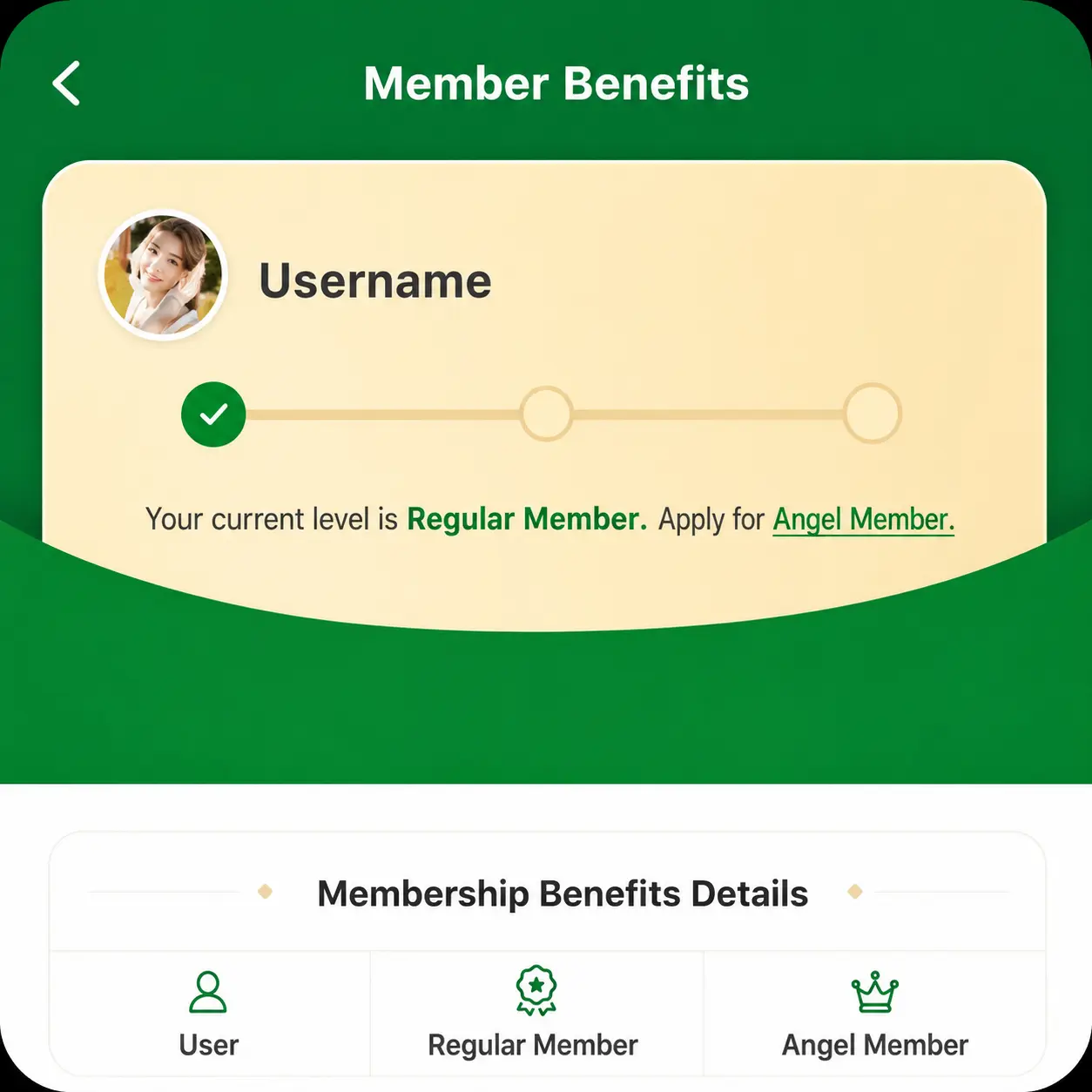 Membership benefits interface for e-bike charging users with tiered plans and charging privileges